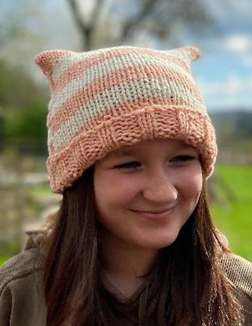 Everyday Ears Hat - Chunky Version