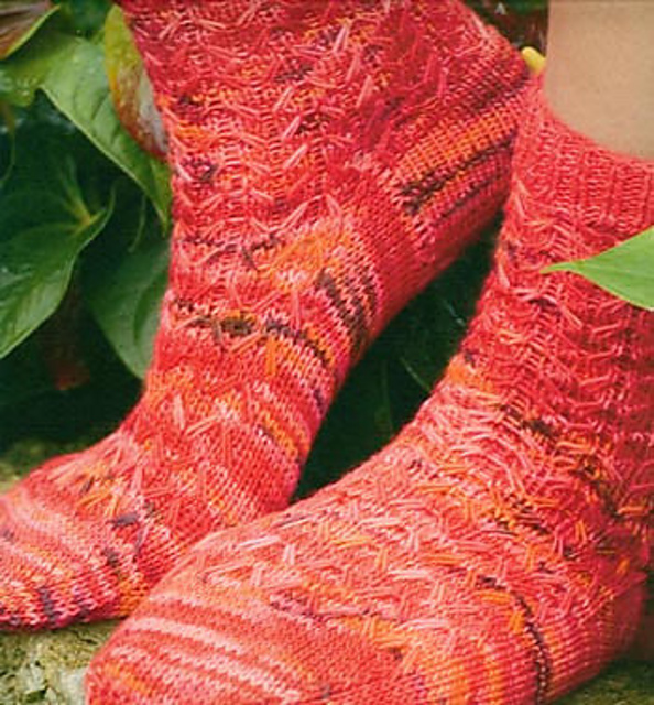 tree frog socks