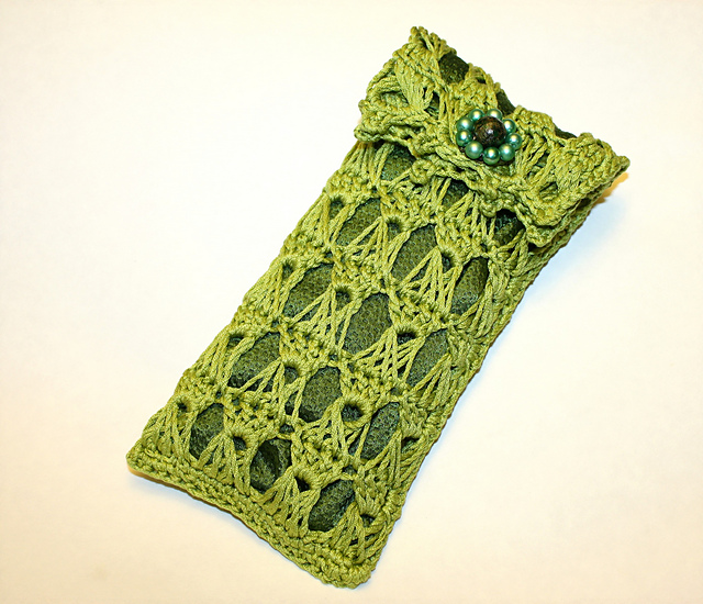 Sunglasses Case