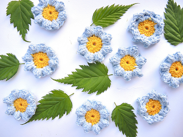 vergeet-me-nietjes / forget-me-not