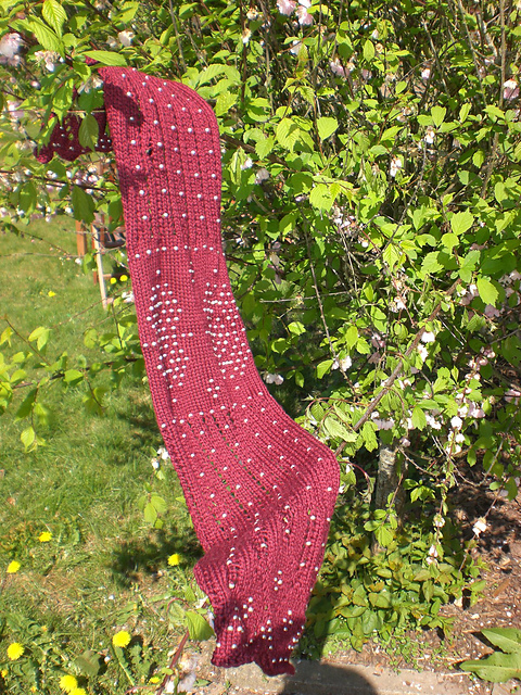 Tulle-bi-telli Scarf