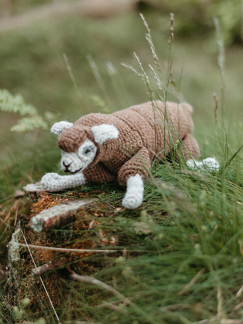 Bleep the Sheep