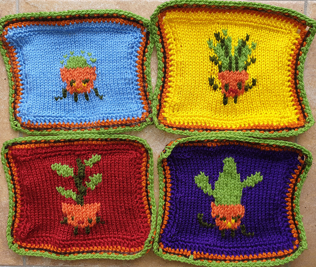 Caculent Bros - Cactus Squares