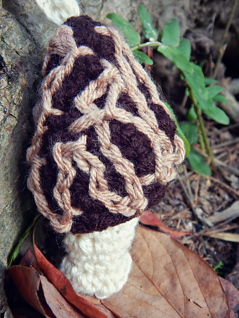 Morel Mushroom Pouch