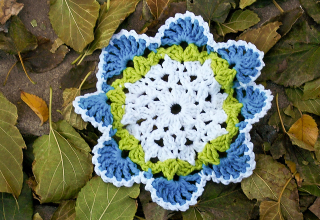 Southwestern Dishcloth