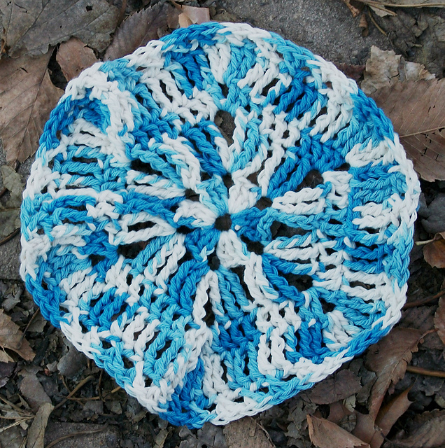 Fall Hexagon Dishcloth
