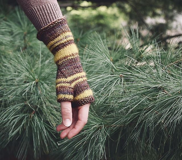 Bee's Knees Fingerless Gloves