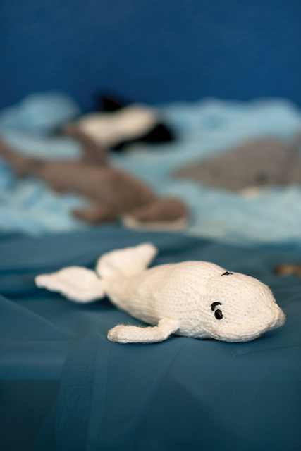 Beluga Buddy Toy