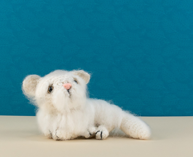 Persian Cat