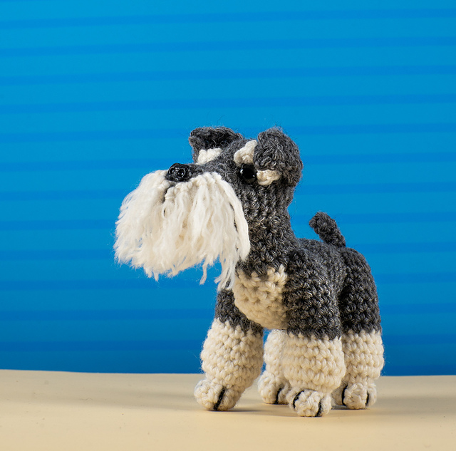 Schnauzer