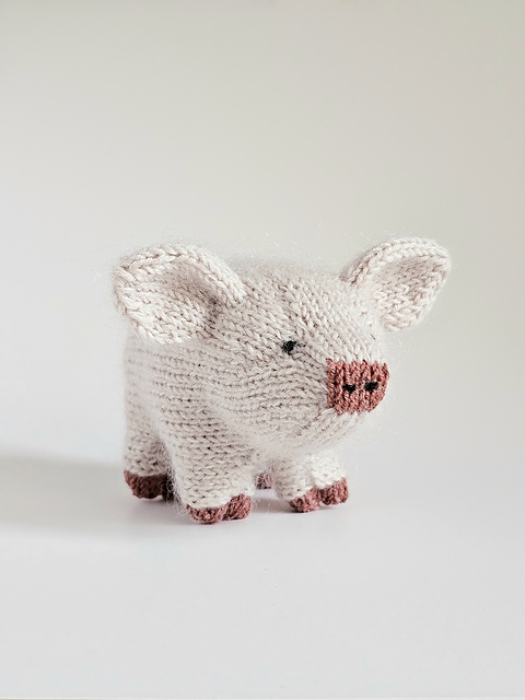 Piggy Toy