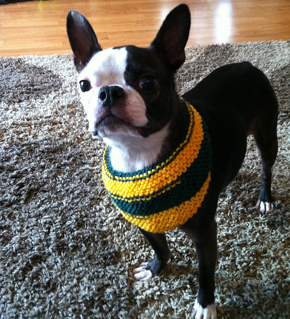 Pet Bandana