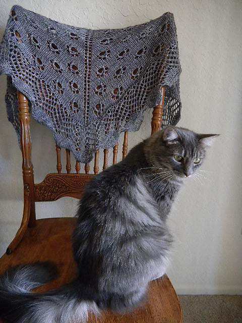 Whispering Whiskers One Skein Shawlette