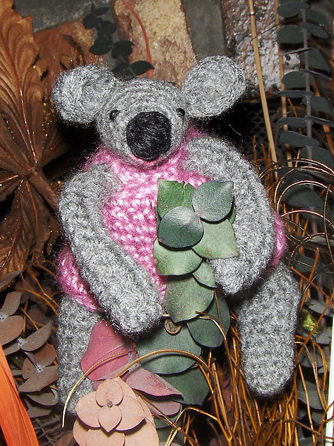 Cocoa Koala