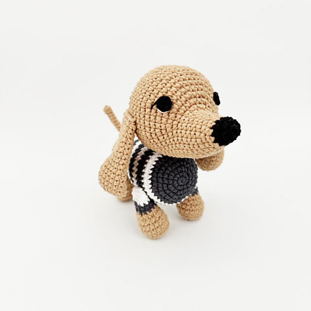 Dachshund Dog