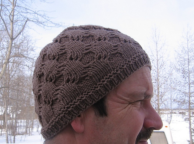 Entomology Reversible Beetle Hat