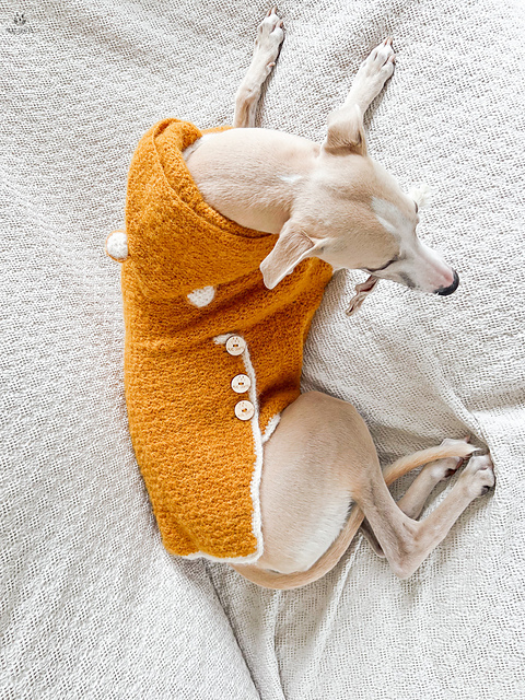 Doggo no 19 sweater