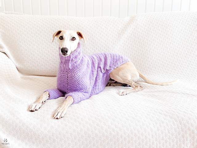 Doggo no 18 sweater