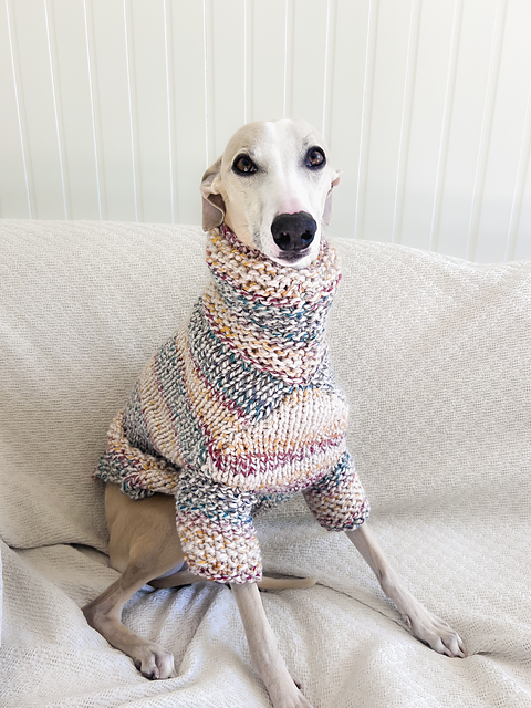 Doggo no 5 sweater