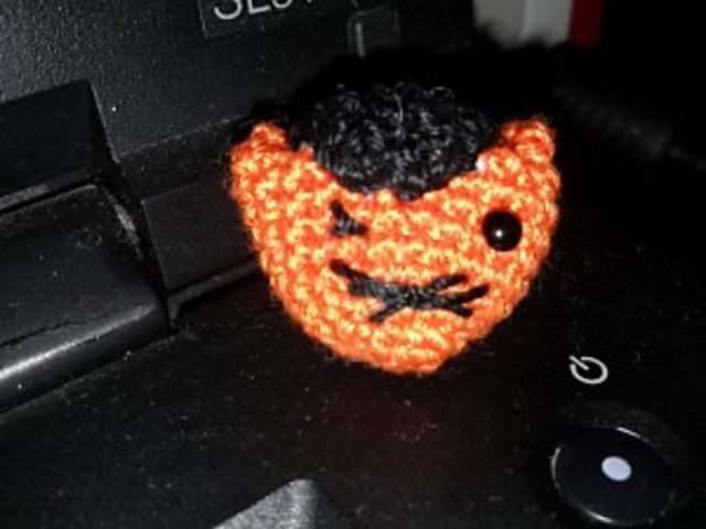 The raggedy cat