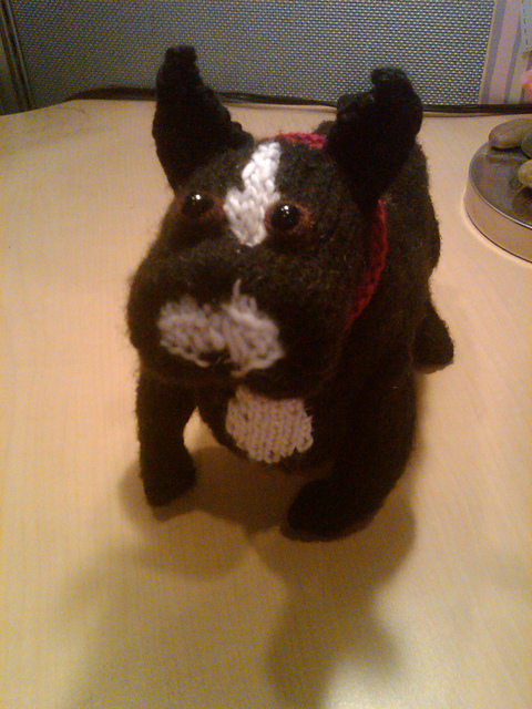 French Bulldog