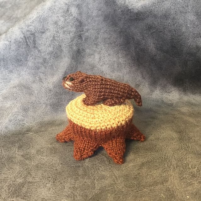 Little Otter