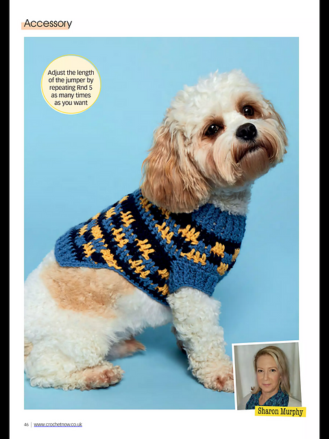 Regal Dog Jumper