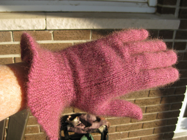 Awesome-Possum Gloves