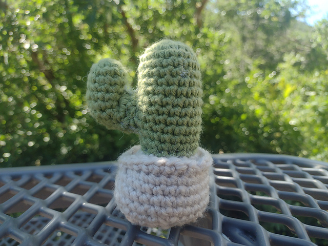 Potted Saguaro Cactus