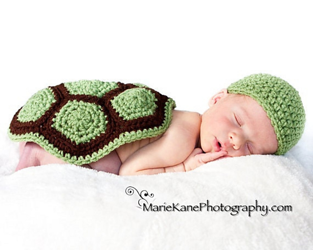 Turtle Photo Prop