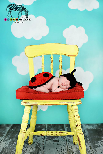 Lady Bug Photo Prop / Insect