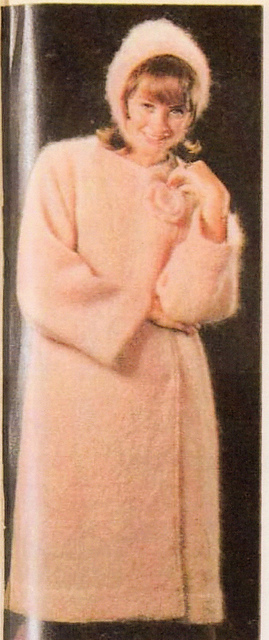 Muted Topcoat with Bonnet: Bonnet