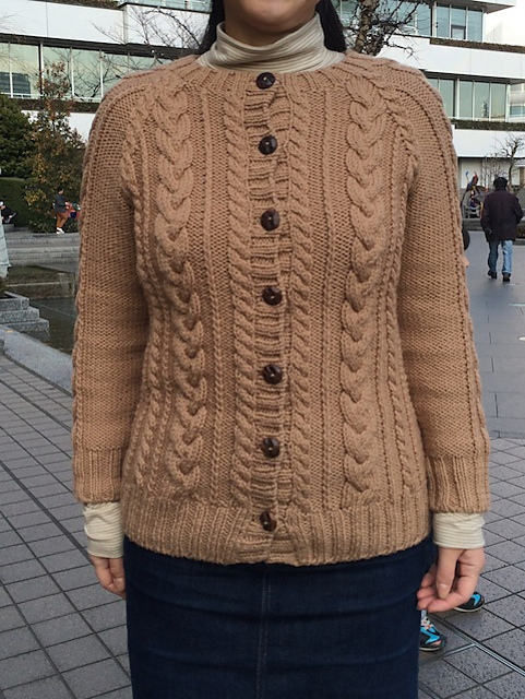 #20 Cabled Raglan Cardigan