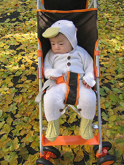 Duck All-in-One