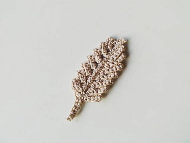 #65 Fern