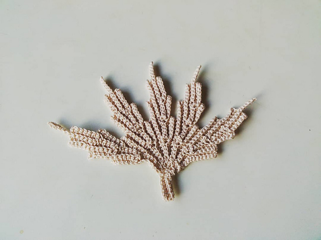#73 Maple