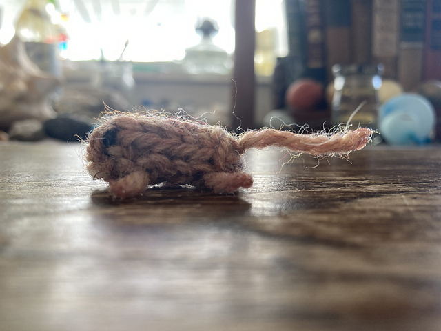 tiny naked mole rat