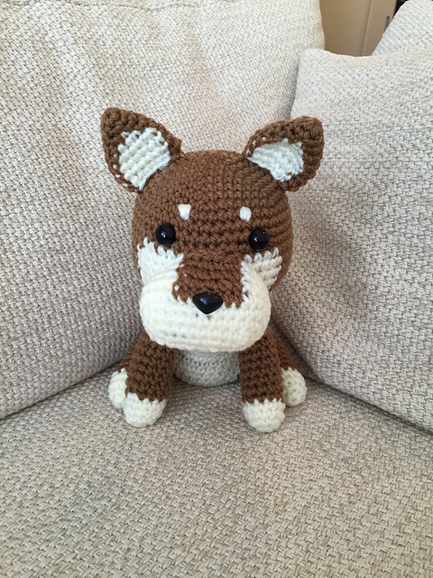 Shiba