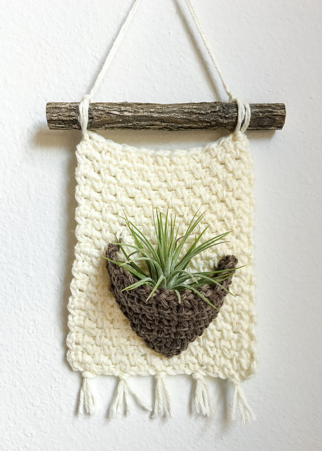 Rustic Air Plant Wall Hanger