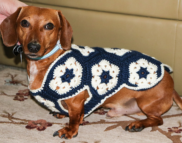 Ravelry: African Flower Dog Sweater pattern by Melissa Hollenbeck