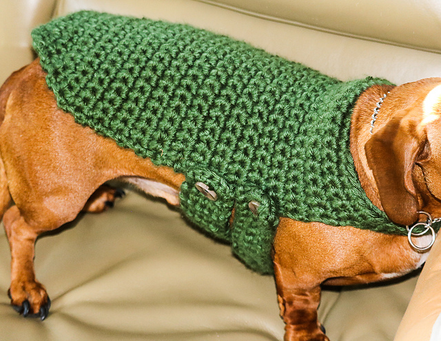 Harley's Sweater