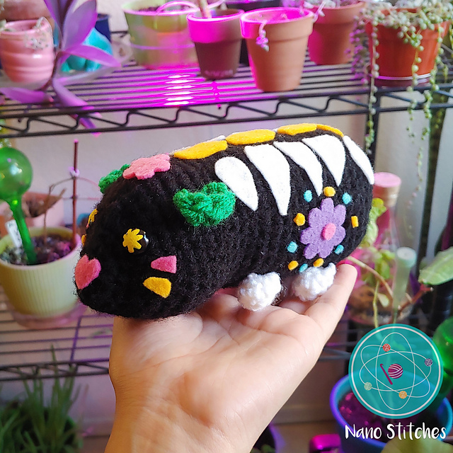Cavy Catrina