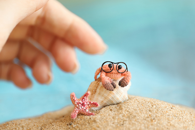 Tiny Crab Baby