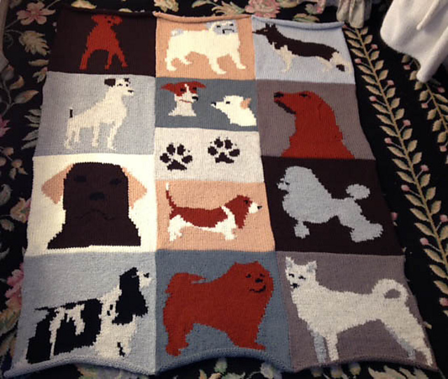 #30 Pet Blanket 