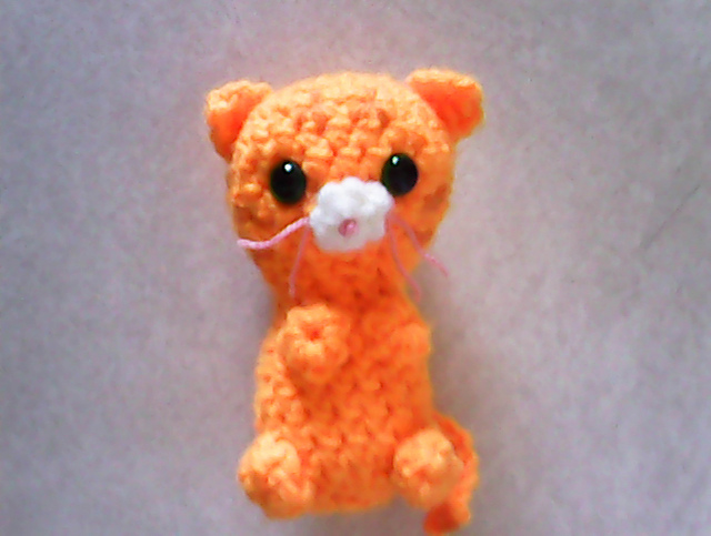 Peanut the Tabby Cat