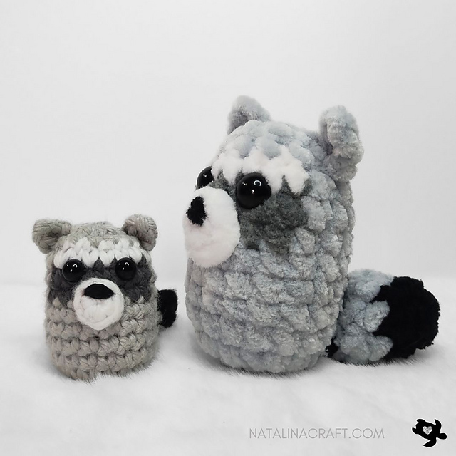 Raccoon