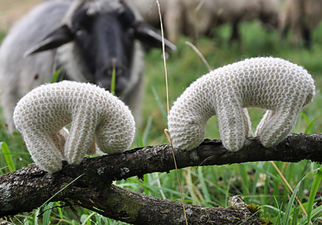 Waldorf-Inspired Sheep