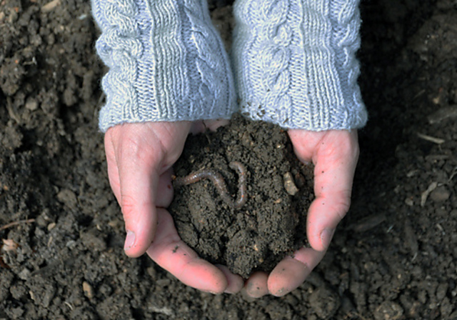 Naturmama's Gardening Cuffs