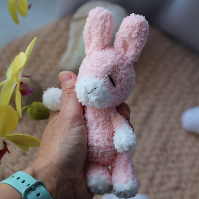 Little Bunny or Rabbit