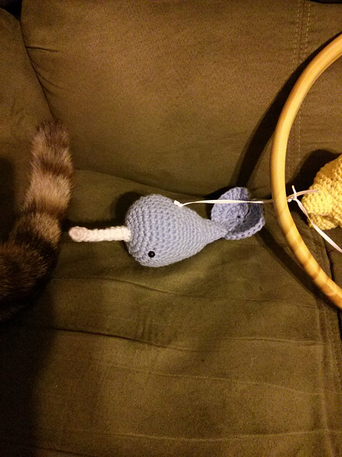 Small Narwhal